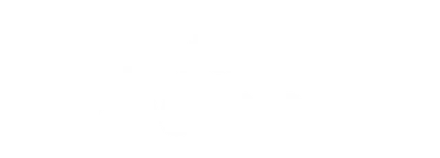 Data Agents